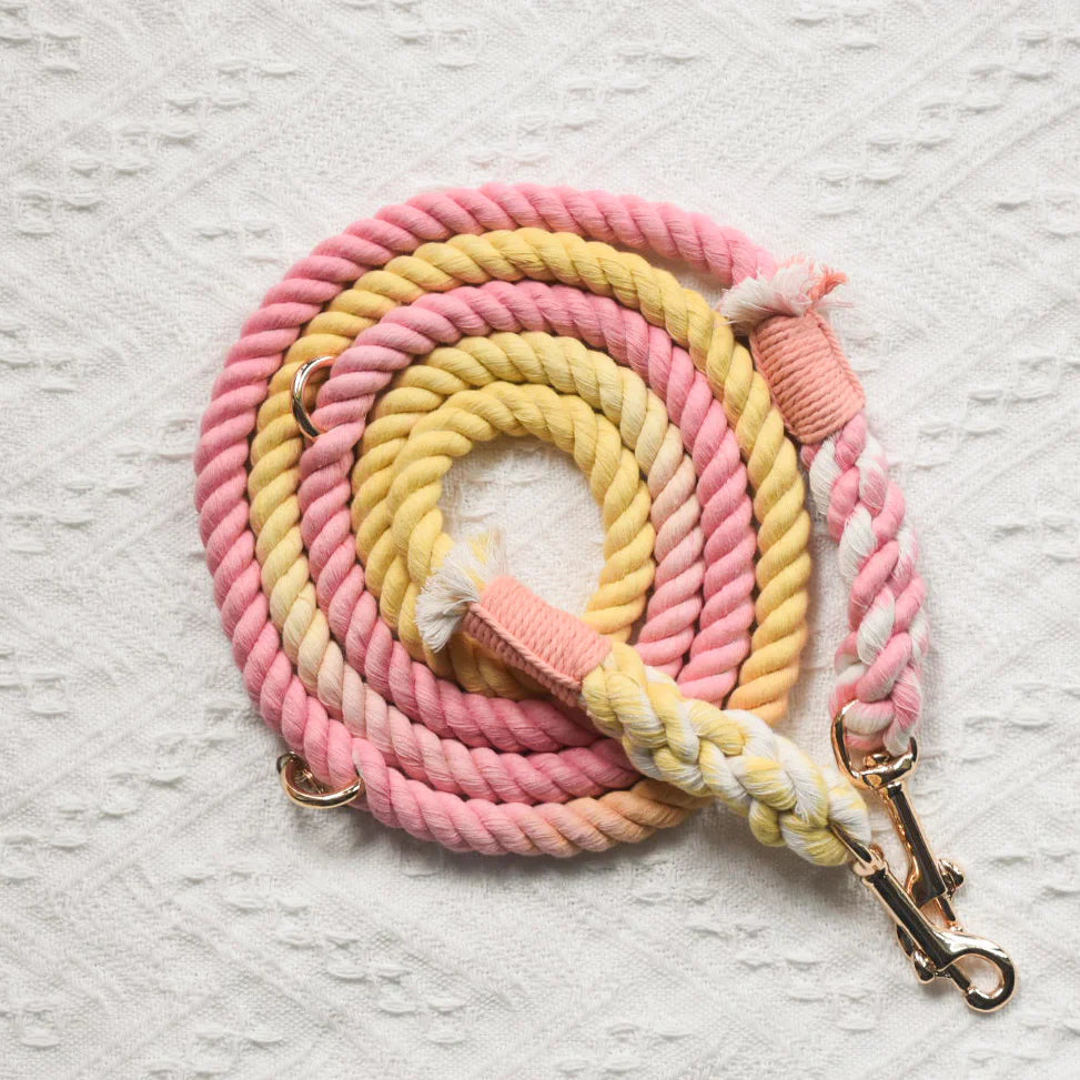 Hands Free Dog Leash