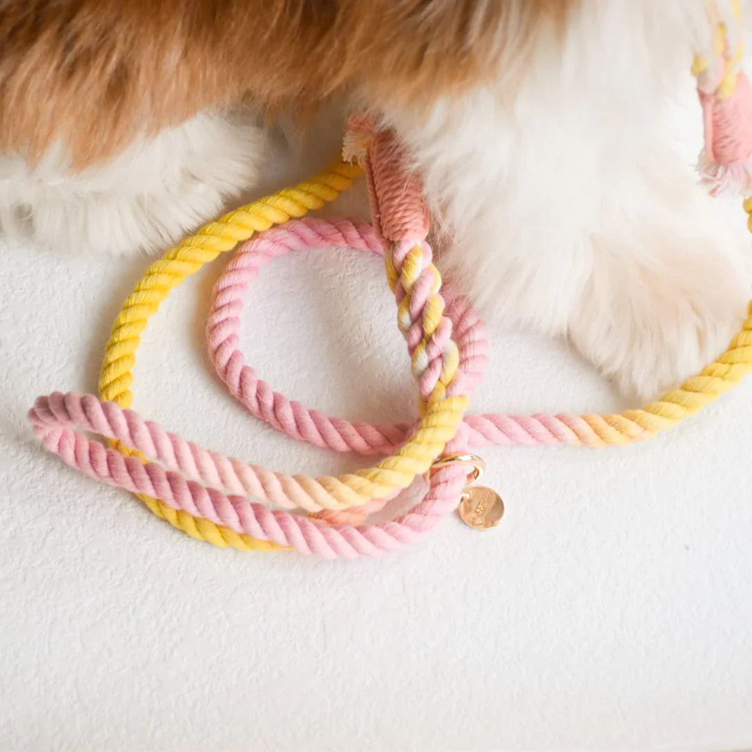 Hands Free Dog Leash