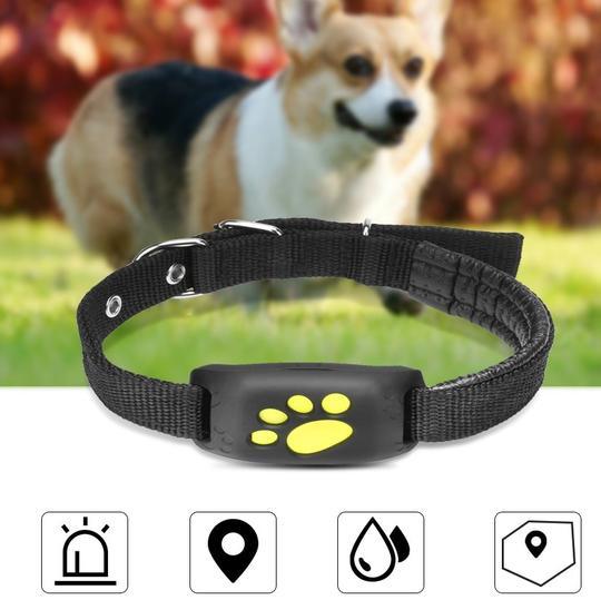 Ultimate Pet GPS Tracker