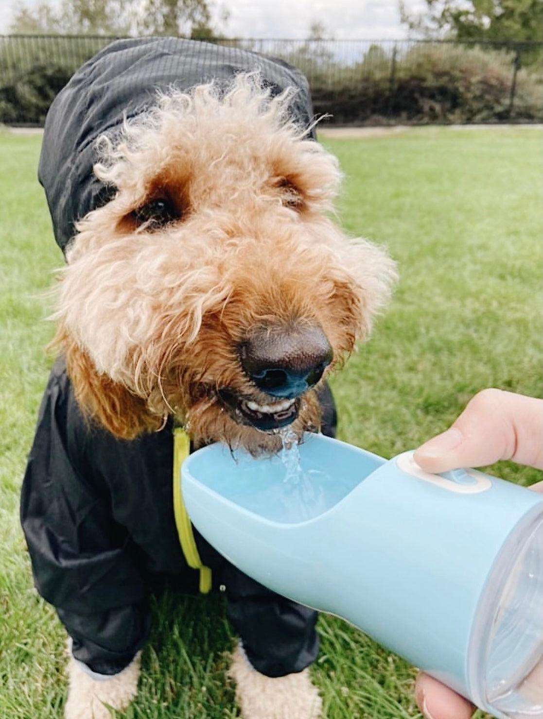 2 in 1 Portable Pet Feeder