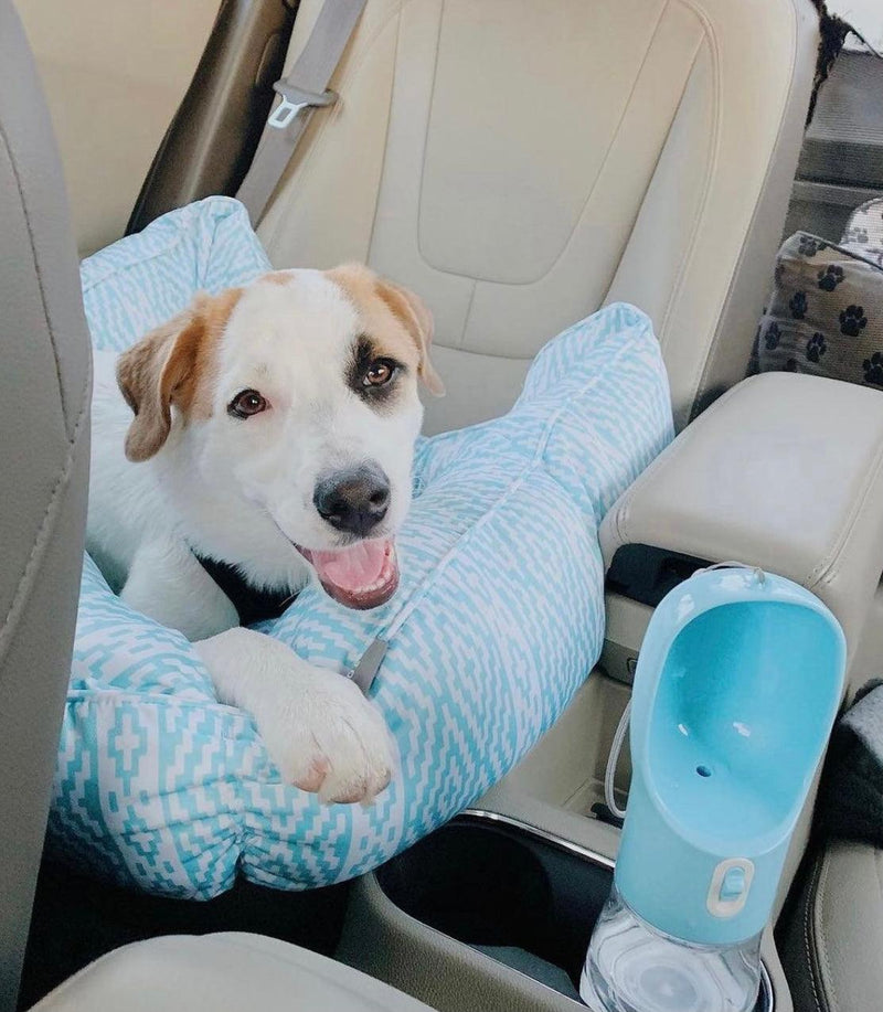 2 in 1 Portable Pet Feeder