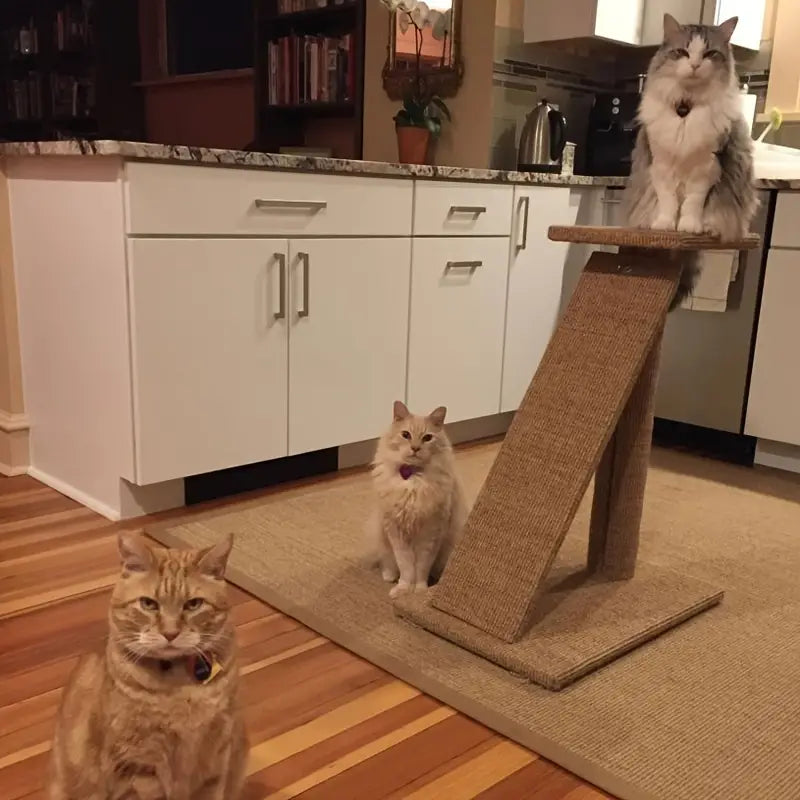 Sisal Cat Scratcher Mat