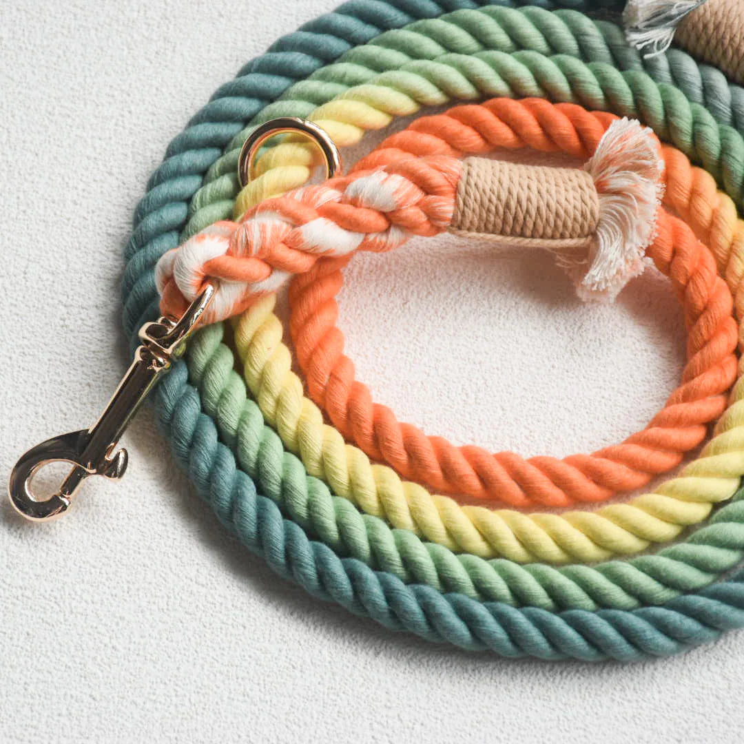 Hands Free Dog Leash