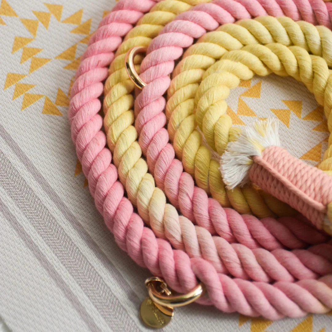 Hands Free Dog Leash