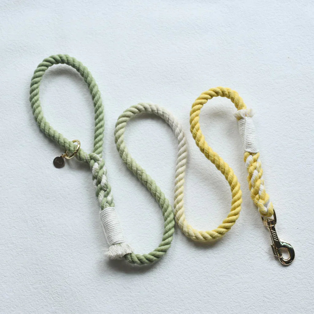 Hands Free Dog Leash
