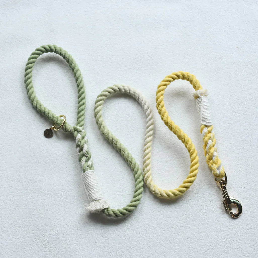 Hands Free Dog Leash