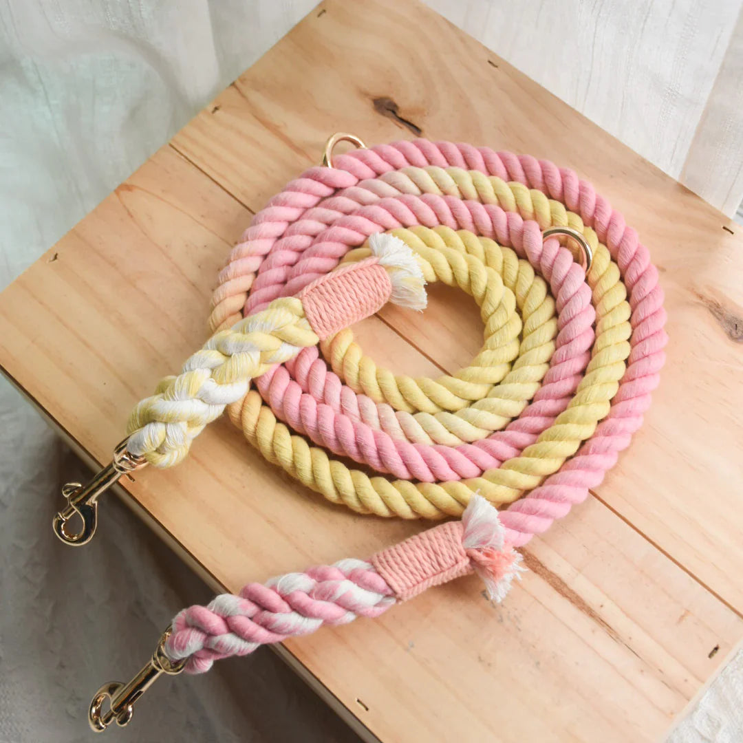 Hands Free Dog Leash