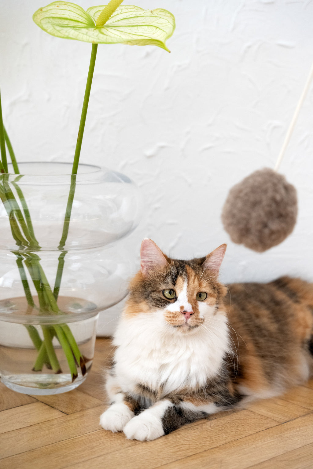 Natural Woolen Cat Toy