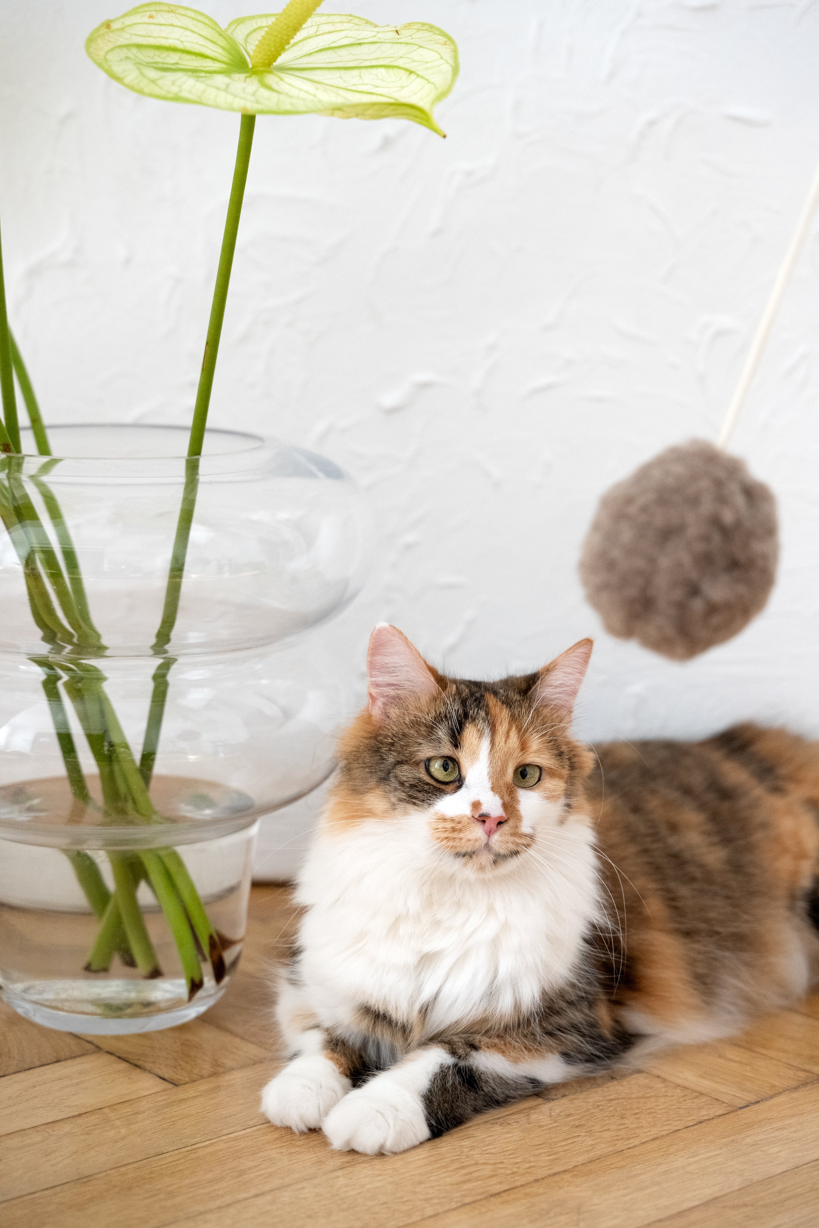Natural Woolen Cat Toy