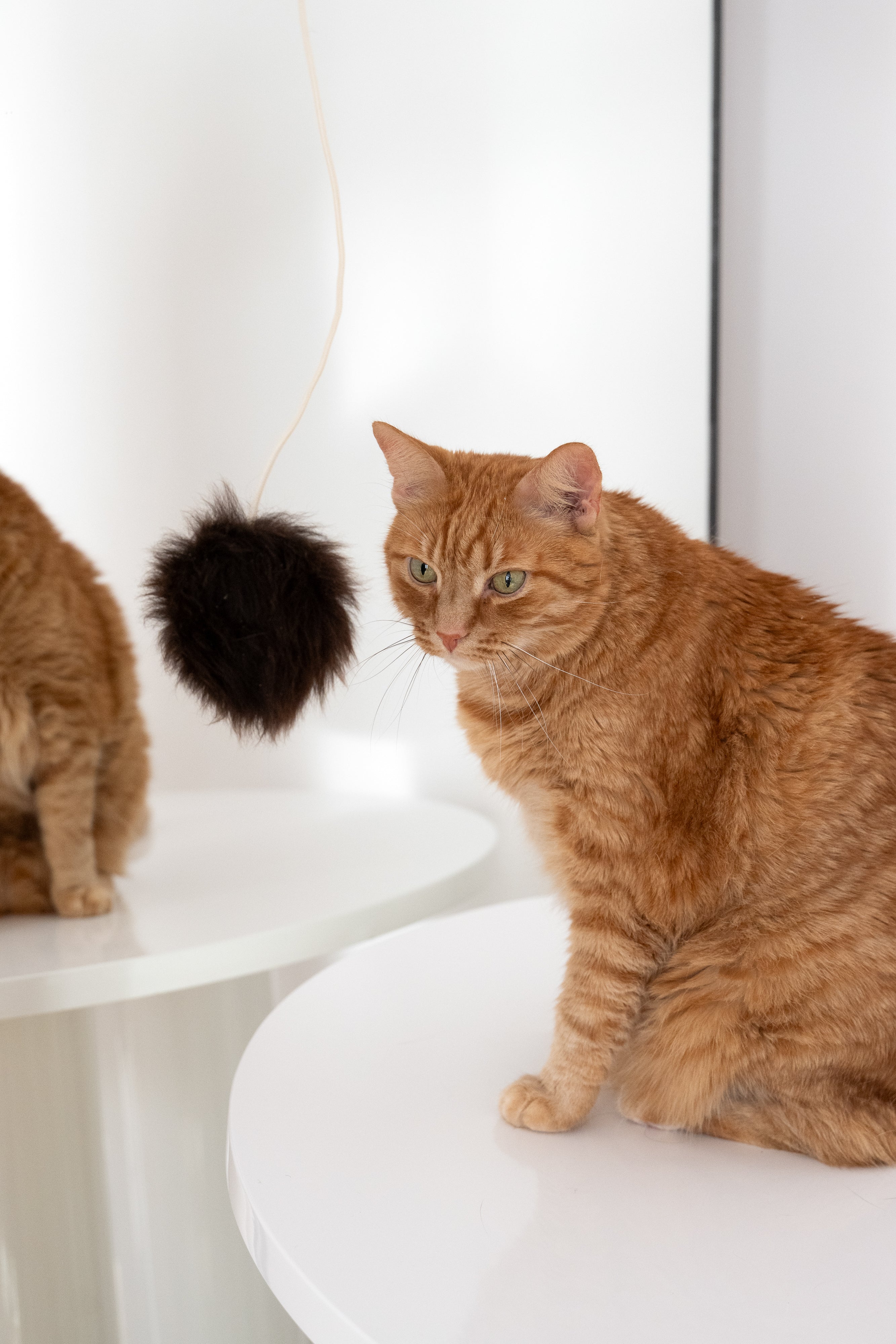 Natural Woolen Cat Toy