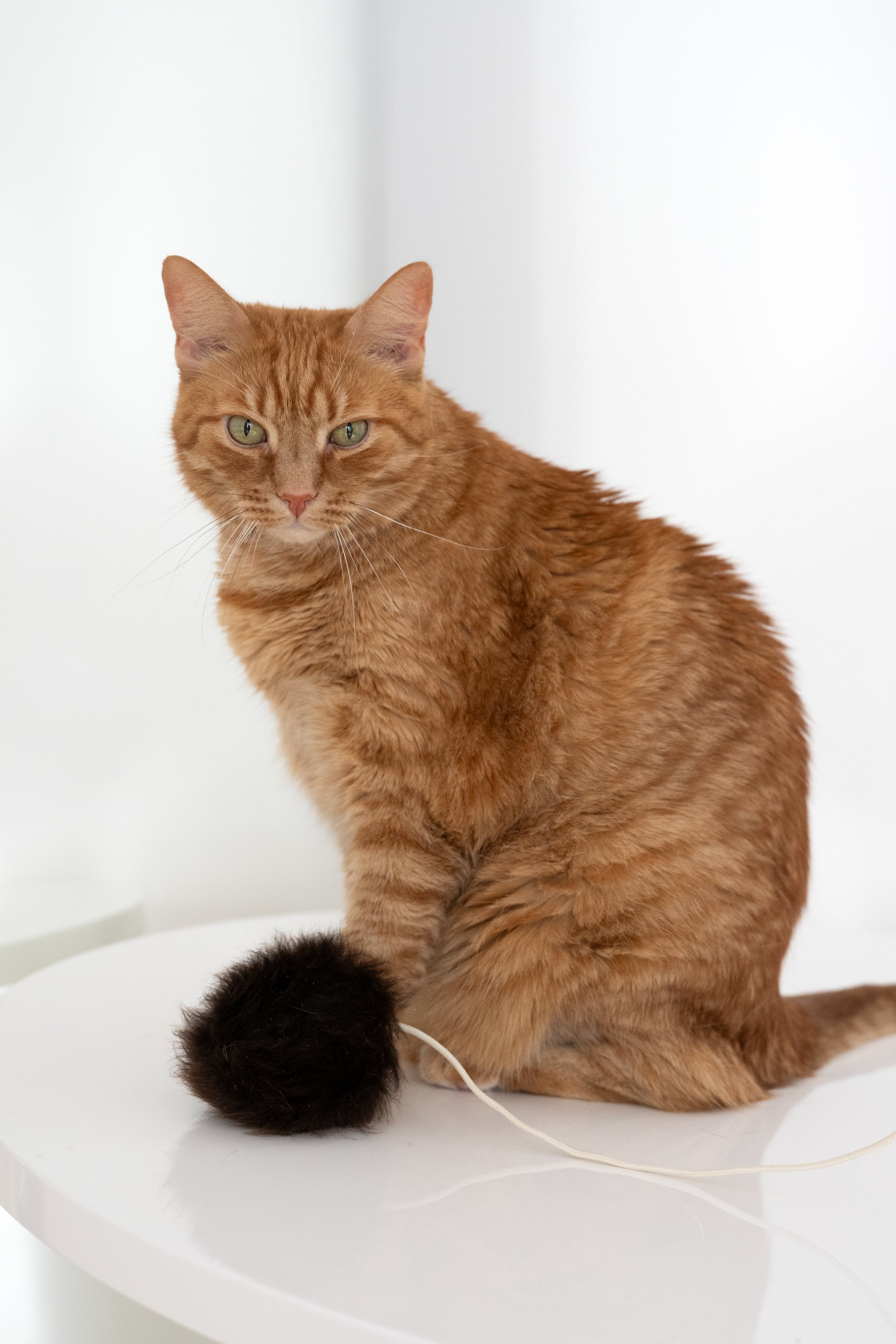 Natural Woolen Cat Toy