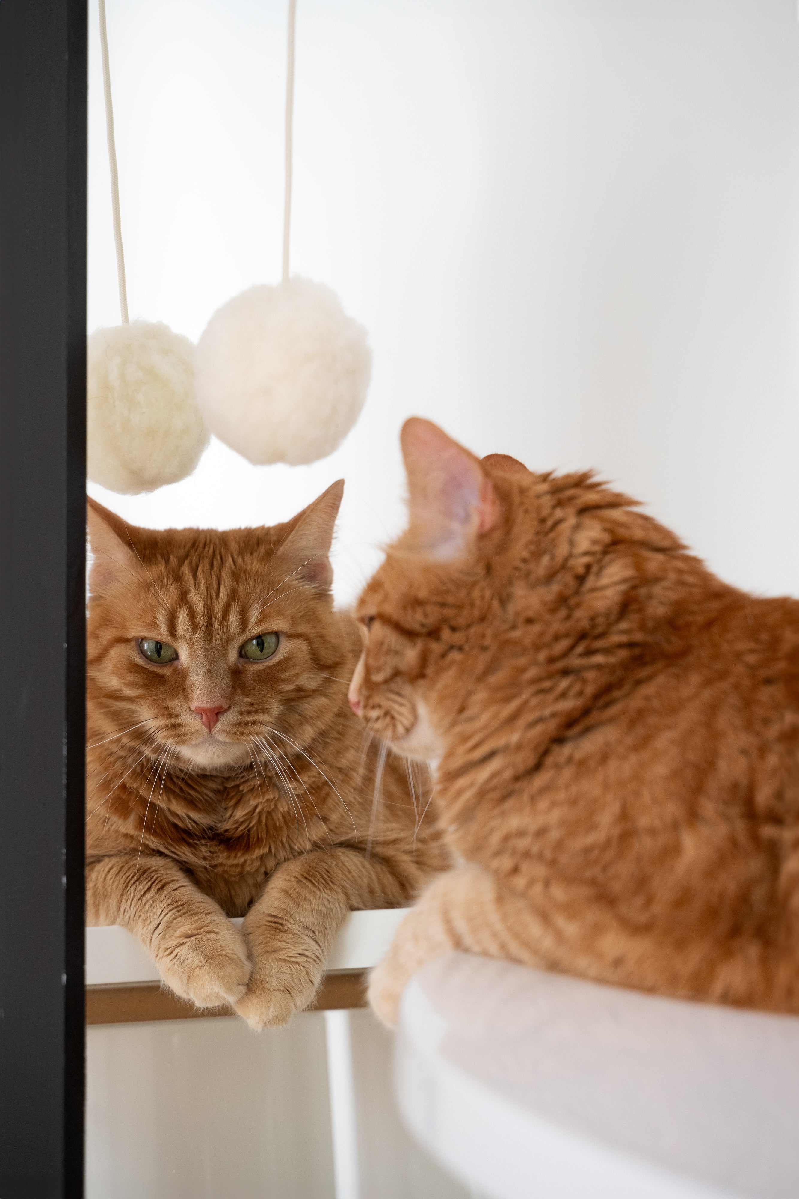Natural Woolen Cat Toy