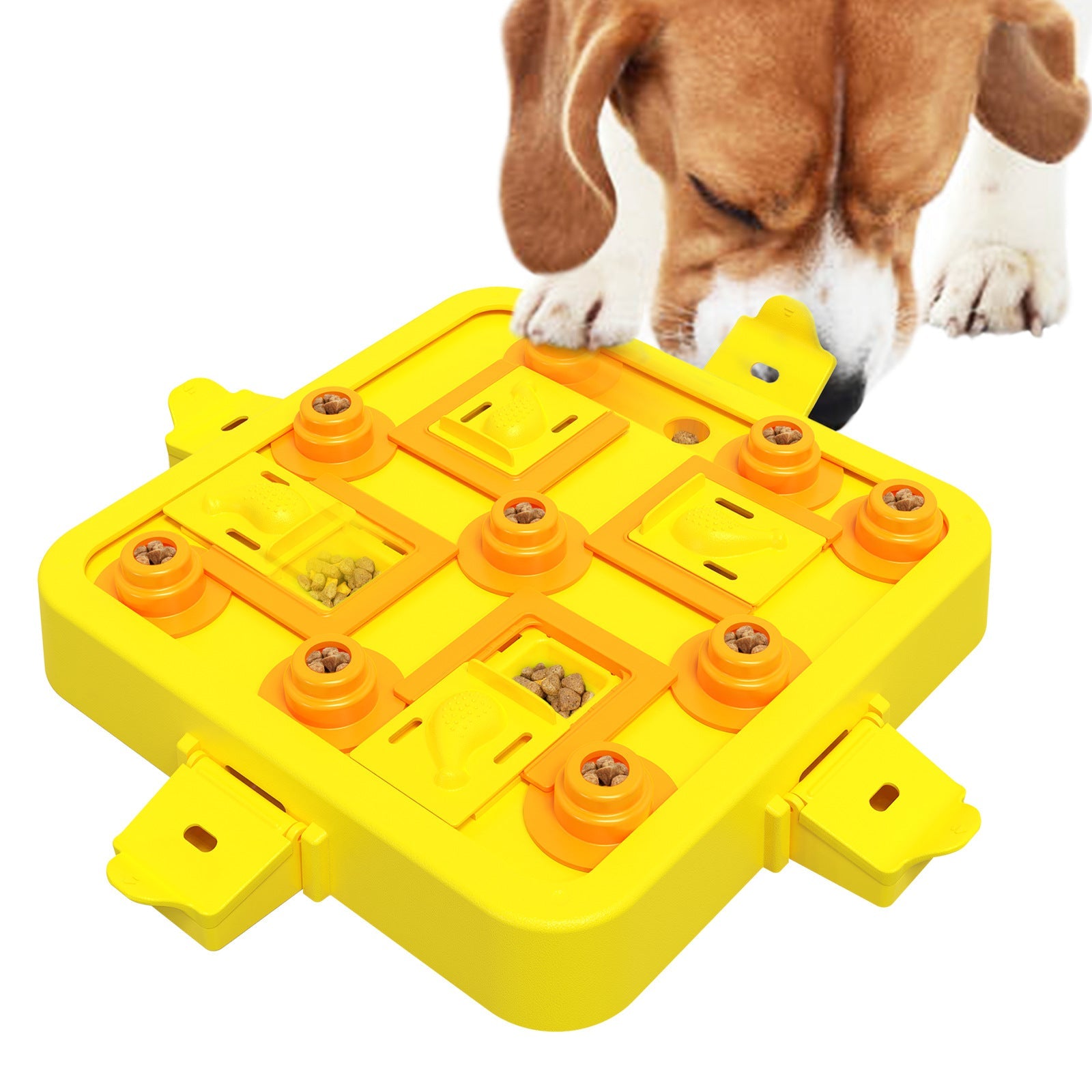 Interactive Slow Feeder