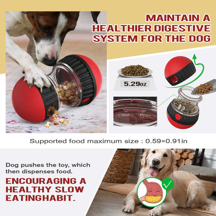 Interactive Dog Feeder
