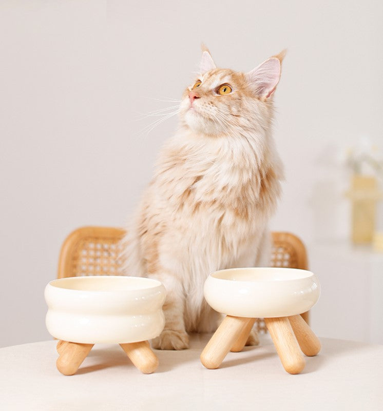 Ceramic Pet Food Bowl