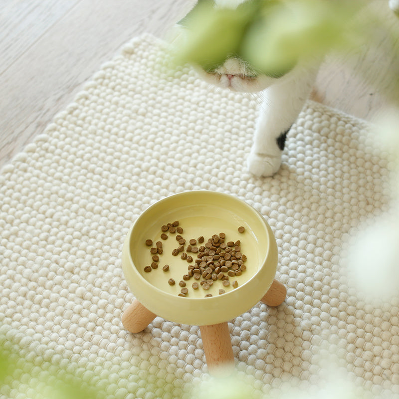 Ceramic Pet Food Bowl