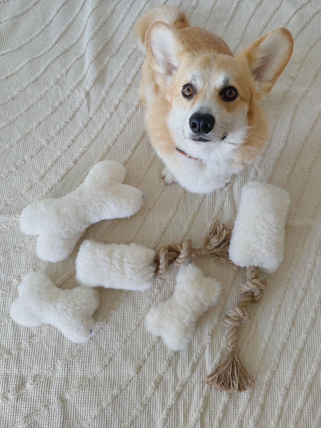 Natural Sheepskin Dog Toy