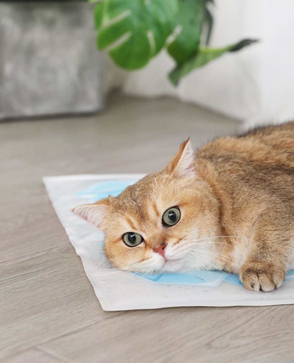Summer Cooling Pet Mat